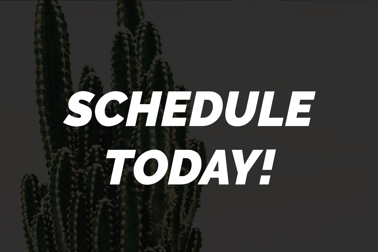 A cactus with the words " schedule today !" written in front of it.